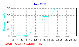 Regen Juni 2019